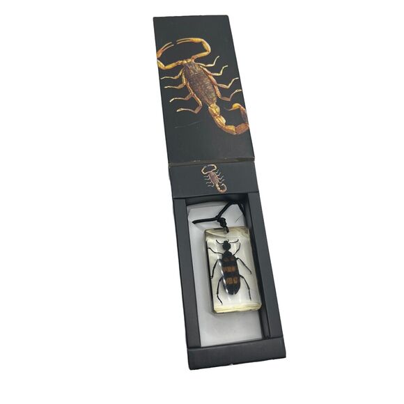Blister Beetle Resin Pendant Necklace on Cord New in Box Goth Academia Science - Picture 3 of 13
